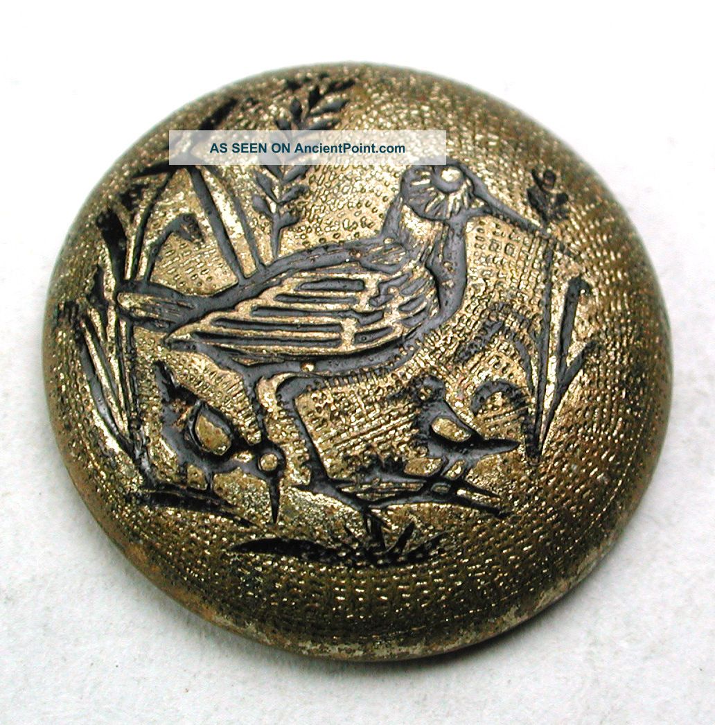 Antique Brass Dome Button Incised Bird W/ Black Tint Accents - 11/16 