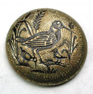 Antique Brass Dome Button Incised Bird W/ Black Tint Accents - 11/16 