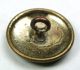 Antique Brass Dome Button Incised Bird W/ Black Tint Accents - 11/16 
