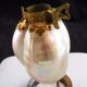 Antique Clip On Art Deco Nouveau Nautilus Sea Shell Seashell Figural Lamp Shade Lamps photo 4
