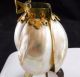 Antique Clip On Art Deco Nouveau Nautilus Sea Shell Seashell Figural Lamp Shade Lamps photo 5