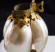 Antique Clip On Art Deco Nouveau Nautilus Sea Shell Seashell Figural Lamp Shade Lamps photo 6