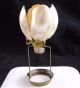Antique Clip On Art Deco Nouveau Nautilus Sea Shell Seashell Figural Lamp Shade Lamps photo 7