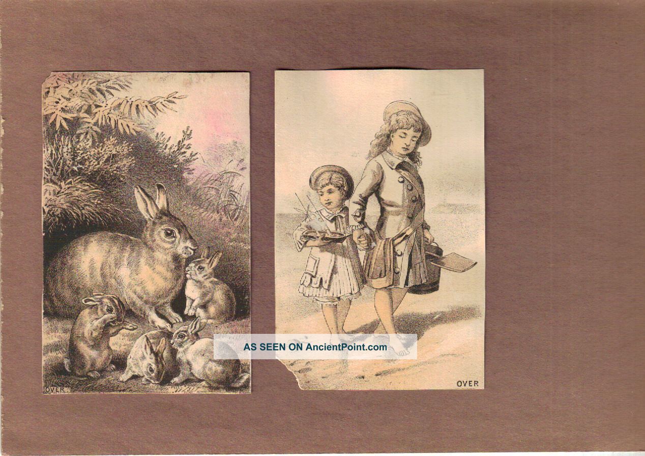 Dr Fenner ' S Golden Relief & Soothing Syrup Quack Medicine Trade Card Dayton Ny Quack Medicine photo