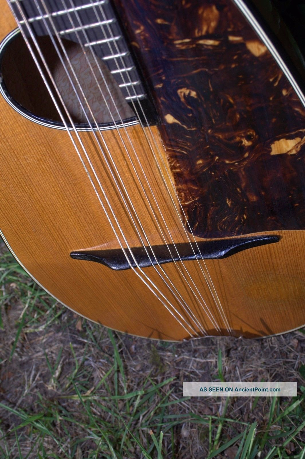 Roundback Concert Octave Mandolin Mandola String photo
