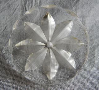 Antique Vintage Lucite Button Carved Flower 769b Large 1 - 3/8 