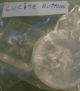 Large Bundle Of Assortment Of Antique Buttons Buttons photo 1