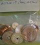 Large Bundle Of Assortment Of Antique Buttons Buttons photo 5