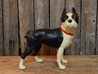 Antique 1920 ' S Hubley Boston Terrier Bulldog Door Stop 331 Cast Iron Statue photo