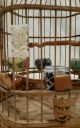 Vintage Bamboo Chinese Bird Cage Display Metal Mounts Wood Carved Hanging China Other Chinese Antiques photo 5