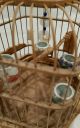 Vintage Bamboo Chinese Bird Cage Display Metal Mounts Wood Carved Hanging China Other Chinese Antiques photo 6