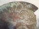 Moche Large Copper Disk Mochica Pre - Columbian Archaic Ancient Artifact Mayan Nr The Americas photo 9