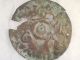 Moche Large Copper Disk Mochica Pre - Columbian Archaic Ancient Artifact Mayan Nr The Americas photo 11