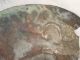 Moche Large Copper Disk Mochica Pre - Columbian Archaic Ancient Artifact Mayan Nr The Americas photo 8