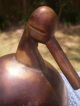 Antique Brass Child ' S Water Drinking Duck Bill Humidifier Steam Pot Hearthware Hearth Ware photo 3