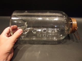 Antique Vintage Style Mcswain Jr Glass Minnow Roach Bottle Trap Signed photo