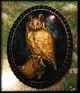 Majestic Owl Perched On Stump Hand Painted 3d Studio Button Buttons photo 1