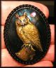 Majestic Owl Perched On Stump Hand Painted 3d Studio Button Buttons photo 4