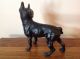 Antique Cast Iron Hubley Boston Terrier Bull - Dog Doorstop Paint Metalware photo 2