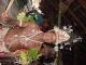 Big Man Chief Tribal Rare Ammonite Boar Trophy Bride Price Pectoral Guinea Pacific Islands & Oceania photo 3