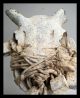 An Encrusted White Power Object From The Ewe People Of Benin Other African Antiques photo 4