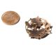(1) Rare Antique Austrian Pierced Openwork Pink Flower Champleve Enamel Button Buttons photo 2