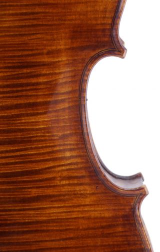 Gesualdo Averna Fine,  Antique 4/4 Old Labeled Italian Master Viola photo