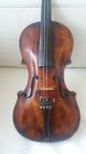 Unusual Very Old Bohemian Violin With Label Helmer,  Prague 1760 String photo 1