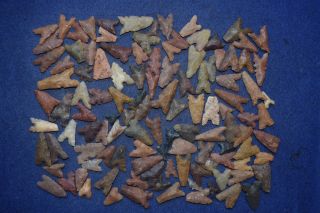 100,  Common Algeria Found Tidikelt Projectile Points/tools (lower Grade) photo
