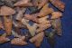 100,  Common Algeria Found Tidikelt Projectile Points/tools (lower Grade) Neolithic & Paleolithic photo 3