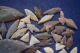100 Common Sahara Neolithic Tools Neolithic & Paleolithic photo 2