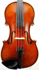 Exceptional Antique Paul Friedl Markneukirchen Violin C.  1915 String photo 1
