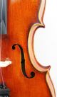 Exceptional Antique Paul Friedl Markneukirchen Violin C.  1915 String photo 6
