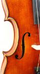 Exceptional Antique Paul Friedl Markneukirchen Violin C.  1915 String photo 7