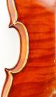 Exceptional Antique Paul Friedl Markneukirchen Violin C.  1915 String photo 8