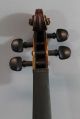 Quality Antique German 4/4 Guarnerius Violin & 2 Quality Pernambuco Bows,  Nr String photo 3