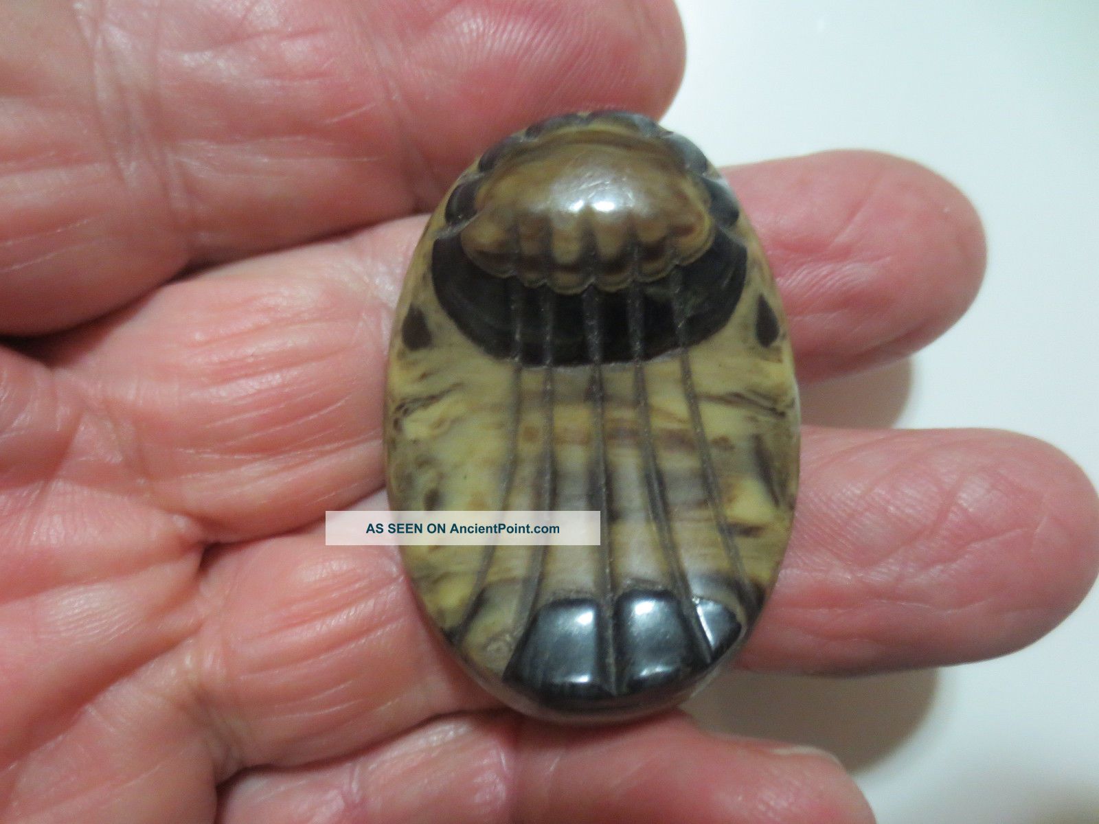 Antique Art Deco Celluloid? Laminated Carved Wafer Button Unusual Scarab Design Buttons photo