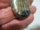 Antique Art Deco Celluloid? Laminated Carved Wafer Button Unusual Scarab Design Buttons photo 1