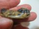 Antique Art Deco Celluloid? Laminated Carved Wafer Button Unusual Scarab Design Buttons photo 2