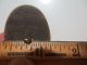 Antique Art Deco Celluloid? Laminated Carved Wafer Button Unusual Scarab Design Buttons photo 6