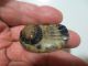 Antique Art Deco Celluloid? Laminated Carved Wafer Button Unusual Scarab Design Buttons photo 8