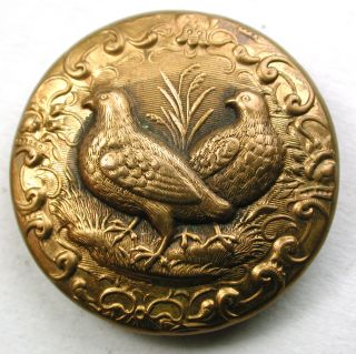 Antique Brass Sporting Button 2 Quail Birds Design W/ Fancy Border - 7/8 