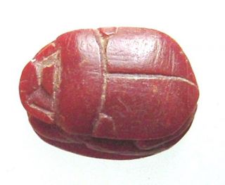 Egyptian Steatite Scarab With Hieroglyphic Of A Scarab.  Ref.  9100. photo