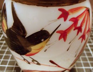 Antique Milk Glass Lidded Sugar Bowl - Lovely Hand Painted Bird & Flowers photo