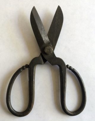Antique Hand Forged Iron Scissors Primitive Tool,  19th Century Bonsai Tool ? photo