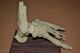 Anatomical Human Skeleton Foot And Ankle Anatomy Podiatry Model Other Medical Antiques photo 3