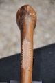 Museum Quality Antique 19th - 20th Century African Knobkerrie War Club 6 Sculptures & Statues photo 6