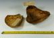 Antique Eskimo Carved Ox Horn Scoops,  England American Whaling Indian Trade Other Maritime Antiques photo 11