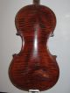 Antique Albertis Violin No.  200 Made Ad 1902 String photo 5
