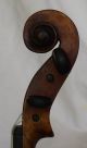 Interesting Antique Italian ? Violin String photo 8